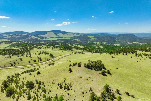 00 County Road 102, Guffey, CO 80820 - photo 33
