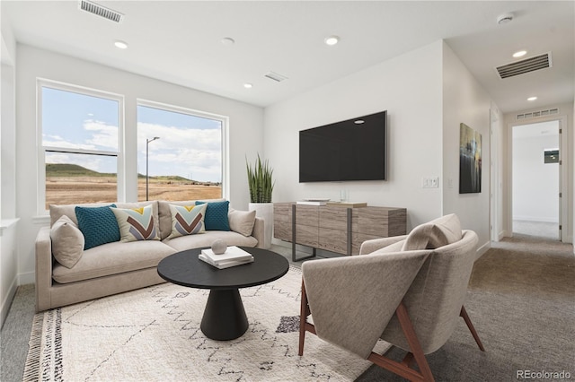 11196 Vibrato Ln, Parker, CO 80134 - photo 31