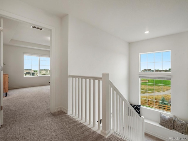 11033 Olathe St, Commerce City, CO 80022 - photo 17