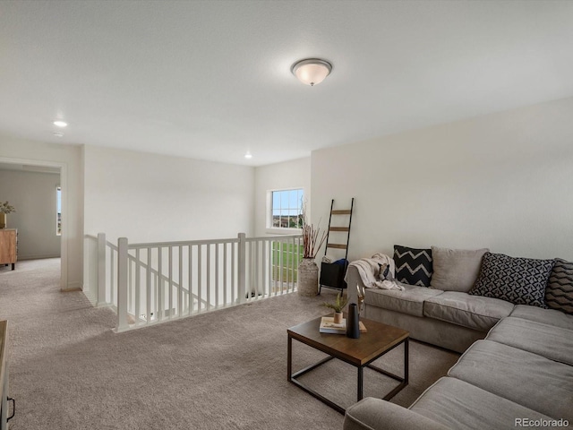11033 Olathe St, Commerce City, CO 80022 - photo 19