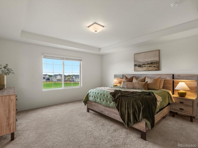 11033 Olathe St, Commerce City, CO 80022 - photo 21