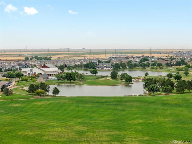 11033 Olathe St, Commerce City, CO 80022 - photo 44