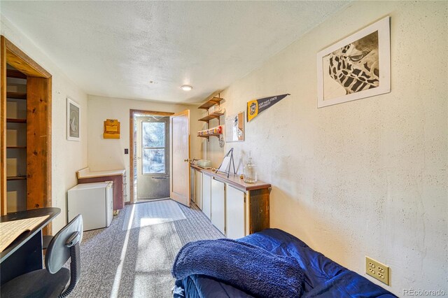 35 Zabrisky Ln, Howard, CO 81233 - photo 45