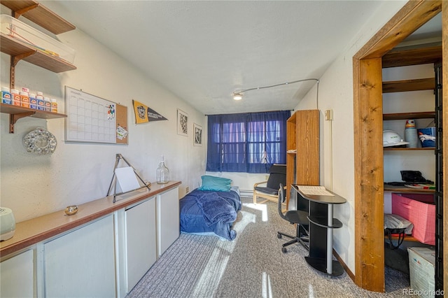 35 Zabrisky Ln, Howard, CO 81233 - photo 43