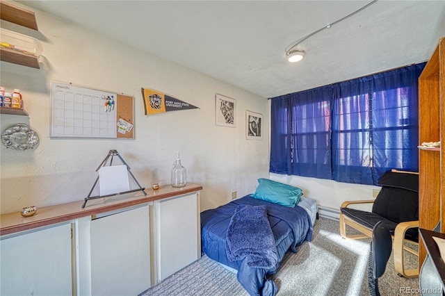35 Zabrisky Ln, Howard, CO 81233 - photo 44