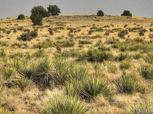 Listing photo 3 for Turkey Ridge Rnch, Walsenburg CO 81089