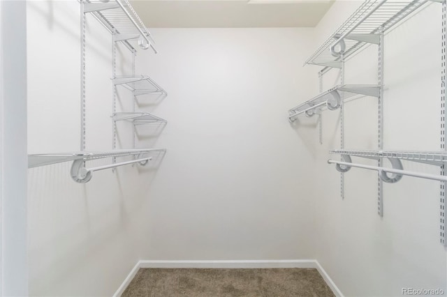3825 Canyon Ranch Rd Unit 203, Highlands Ranch, CO 80126 - spacious closet with carpet flooring