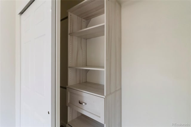 3825 Canyon Ranch Rd Unit 203, Highlands Ranch, CO 80126 - view of closet