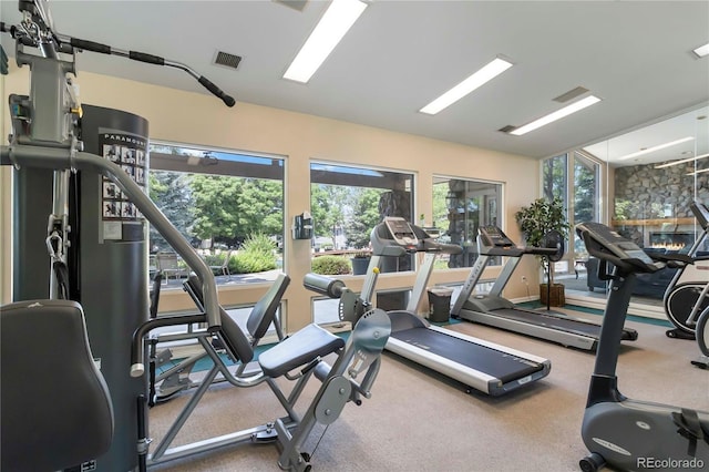 3825 Canyon Ranch Rd Unit 203, Highlands Ranch, CO 80126 - view of exercise room