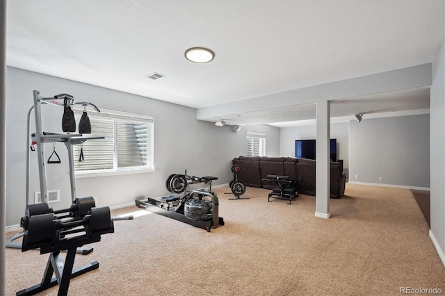 4815 Lucille Ct, Loveland, CO 80537 - workout room featuring carpet floors and baseboards