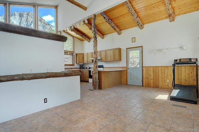 16715 Shadow Ln, Nathrop, CO 81236 - kitchen featuring electric stove, wood ceiling, wainscoting, a peninsula, and beamed ceiling