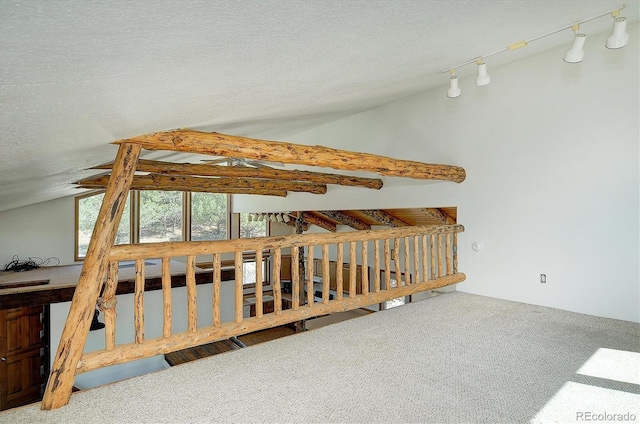 16715 Shadow Ln, Nathrop, CO 81236 - unfurnished bedroom featuring lofted ceiling, carpet flooring, and a textured ceiling