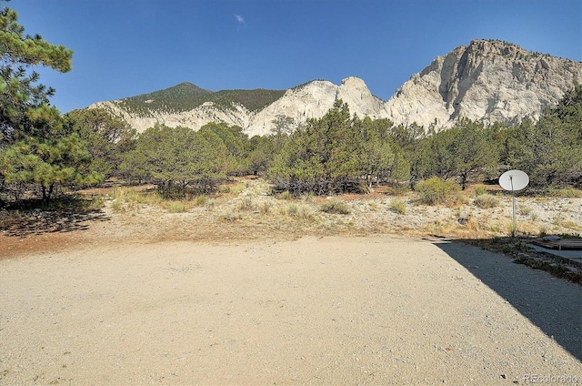 16715 Shadow Ln, Nathrop, CO 81236 - mountain view