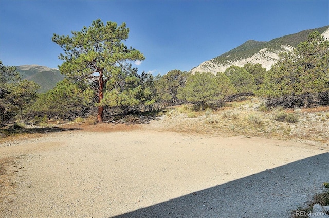 16715 Shadow Ln, Nathrop, CO 81236 - view of yard featuring a mountain view
