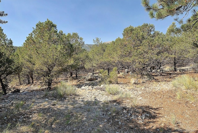 16715 Shadow Ln, Nathrop, CO 81236 - view of undeveloped land