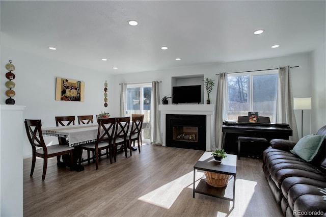 living room featuring wood-type flooring