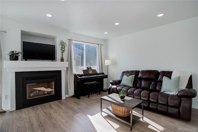 living room featuring light hardwood / wood-style floors