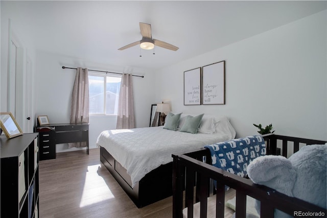 bedroom featuring hardwood / wood-style flooring and ceiling fan