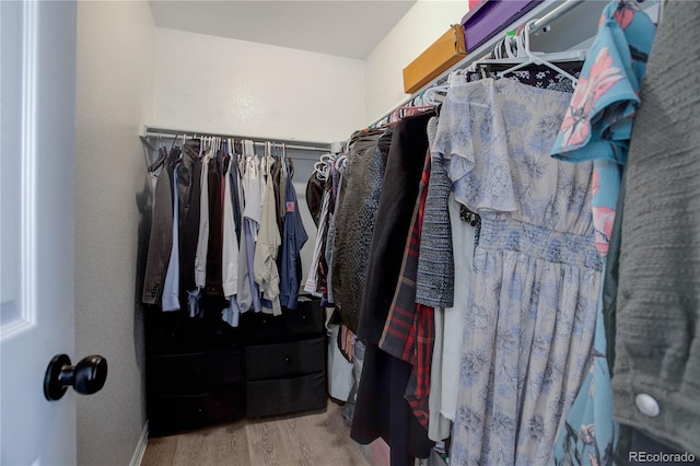 walk in closet featuring light wood-type flooring