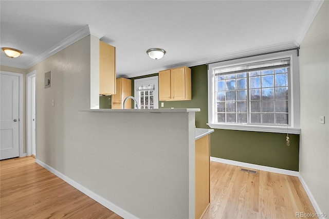 kitchen featuring sink, light wood-type flooring, crown molding, and light brown cabinetry