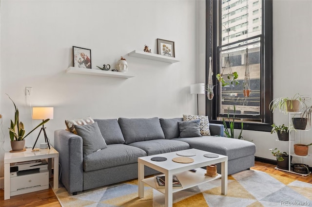 living room featuring wood finished floors