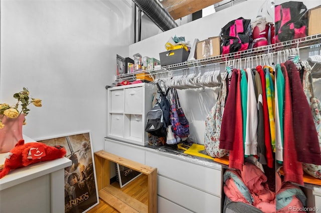 view of walk in closet