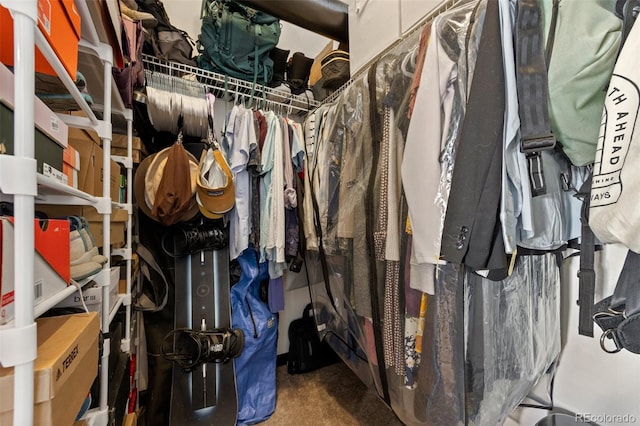 walk in closet featuring carpet