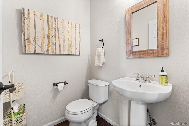 2877 Craig Ct, Castle Rock, CO 80109 - photo 10