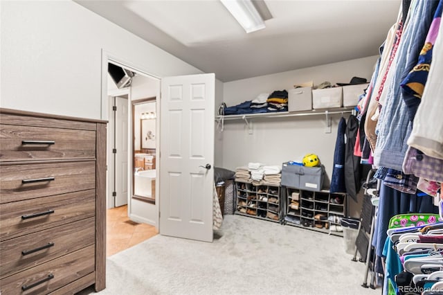 2877 Craig Ct, Castle Rock, CO 80109 - photo 19