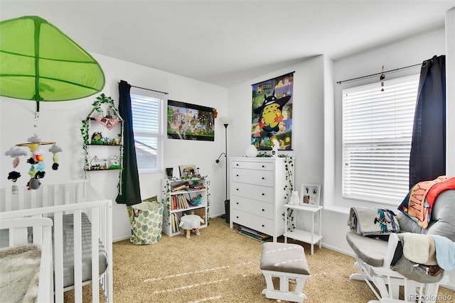 12400 Village Cir, Brighton, CO 80603 - photo 24