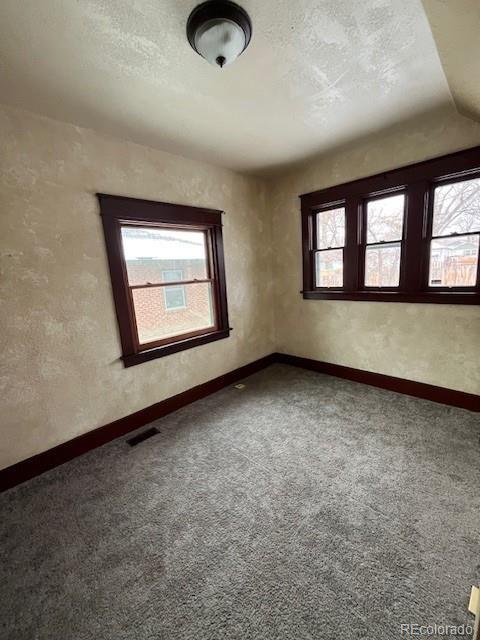 empty room featuring carpet floors, a textured ceiling, and plenty of natural light