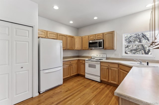 kitchen featuring sink, light brown cabinetry, white appliances, and light wood-type flooring