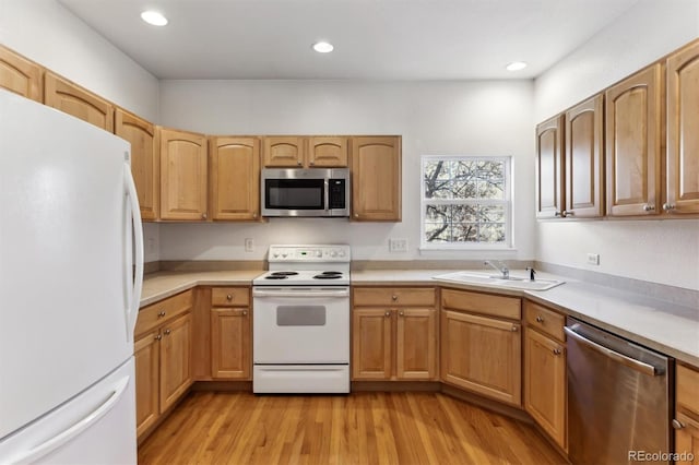 kitchen featuring sink, light wood-type flooring, and appliances with stainless steel finishes