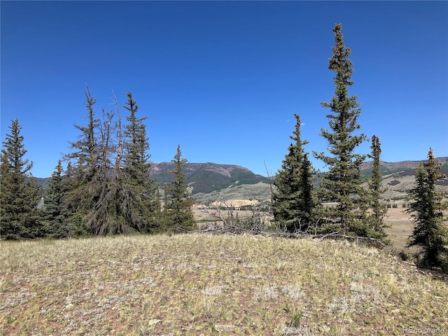 442 Deep Creek Rd, Creede, CO 81130 - photo 1