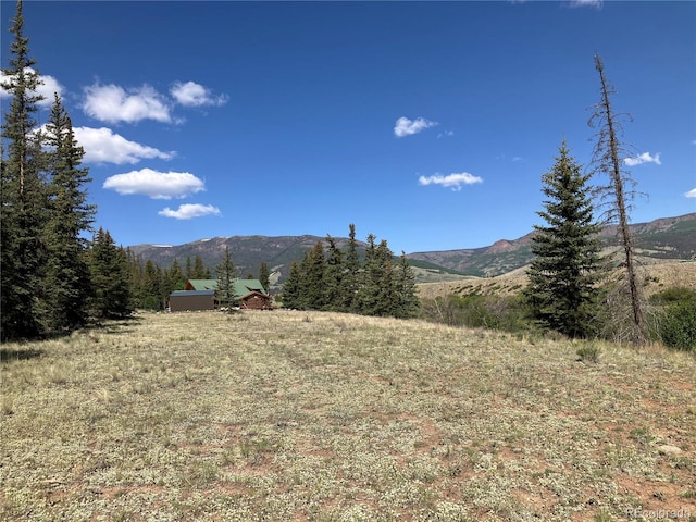 442 Deep Creek Rd, Creede, CO 81130 - photo 5