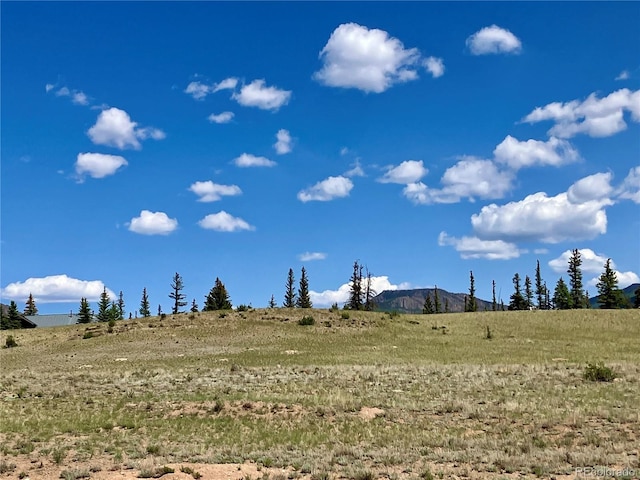 442 Deep Creek Rd, Creede, CO 81130 - photo 6