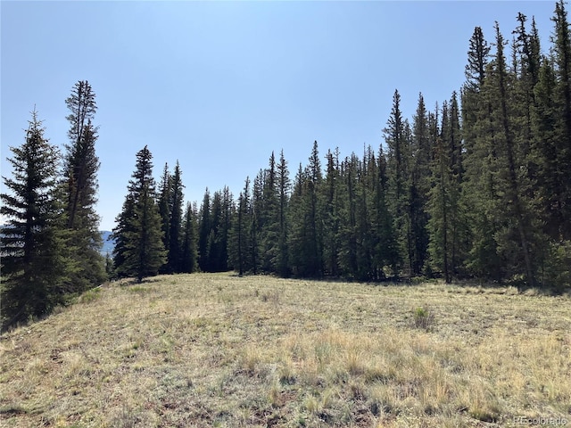 442 Deep Creek Rd, Creede, CO 81130 - photo 9