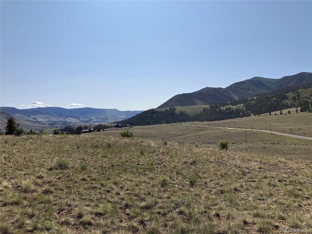 442 Deep Creek Rd, Creede, CO 81130 - photo 10