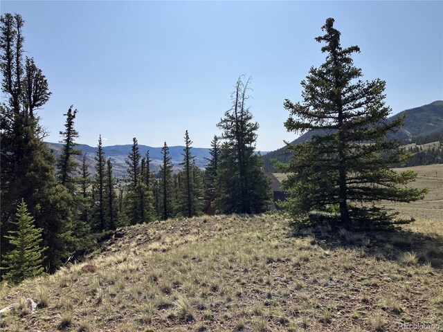 442 Deep Creek Rd, Creede, CO 81130 - photo 13