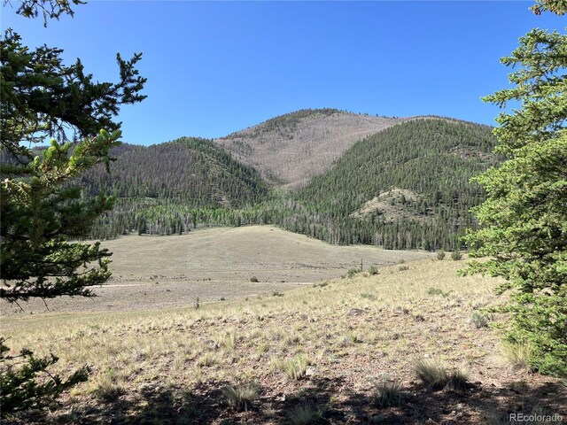 442 Deep Creek Rd, Creede, CO 81130 - photo 14