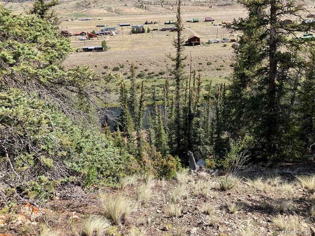 442 Deep Creek Rd, Creede, CO 81130 - photo 17