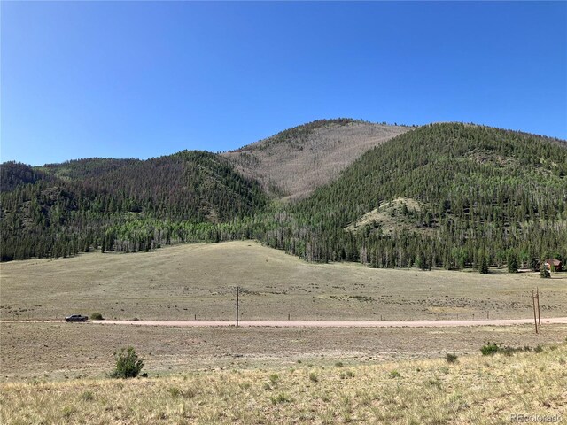 442 Deep Creek Rd, Creede, CO 81130 - photo 26