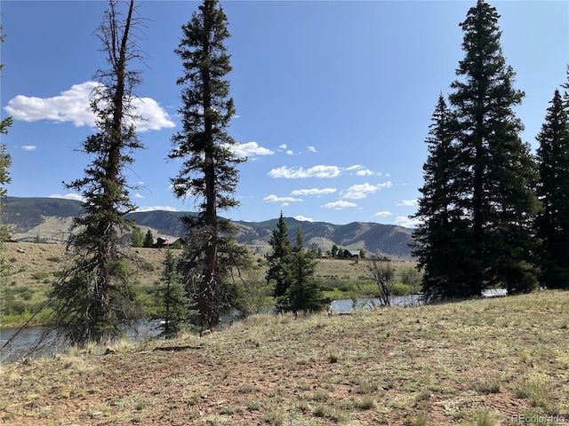 442 Deep Creek Rd, Creede, CO 81130 - photo 32