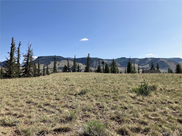 442 Deep Creek Rd, Creede, CO 81130 - photo 35