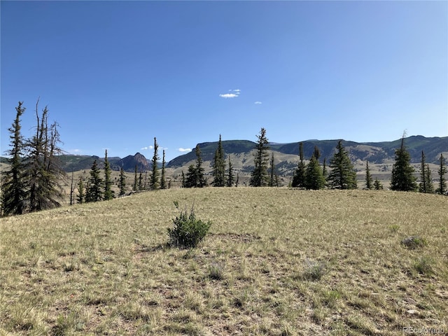 442 Deep Creek Rd, Creede, CO 81130 - photo 37