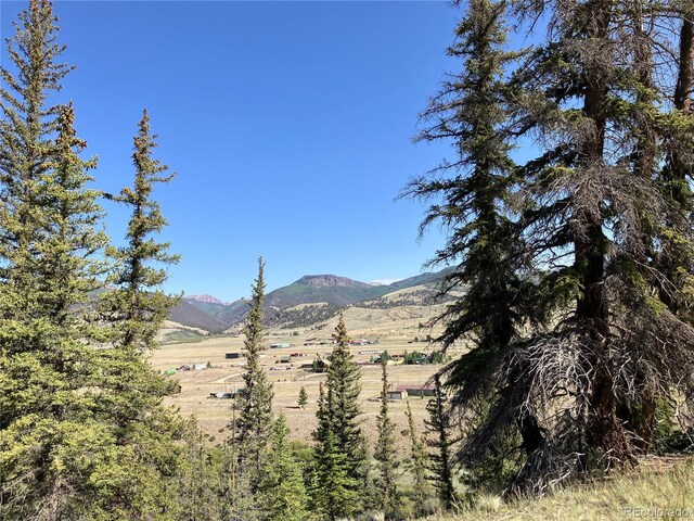 442 Deep Creek Rd, Creede, CO 81130 - photo 38