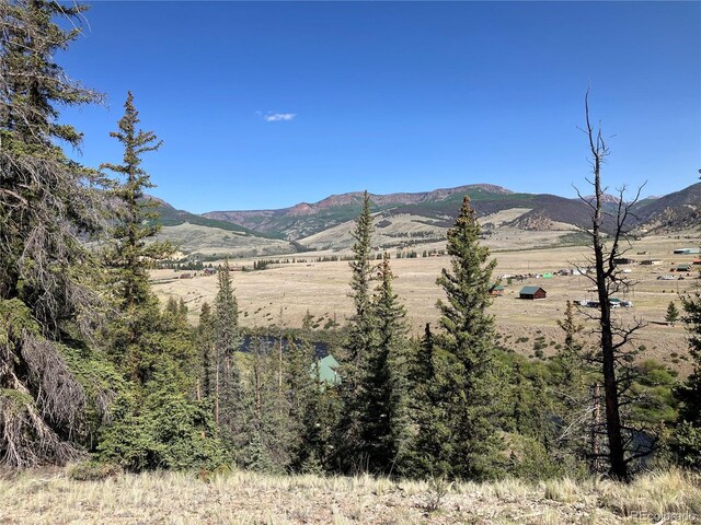 442 Deep Creek Rd, Creede, CO 81130 - photo 41