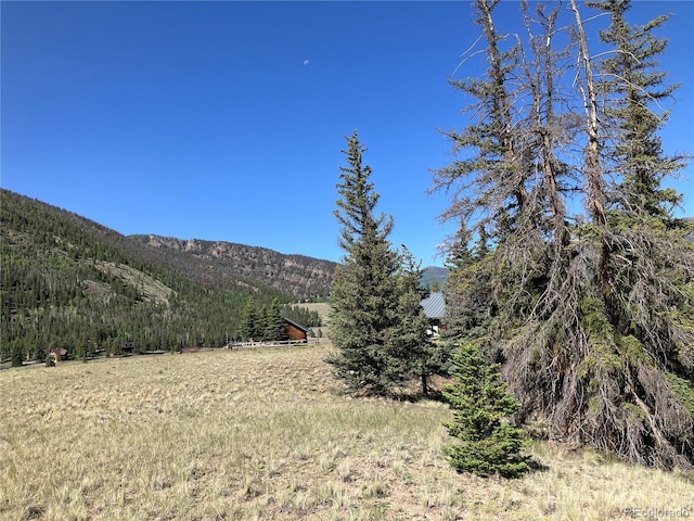 442 Deep Creek Rd, Creede, CO 81130 - photo 42