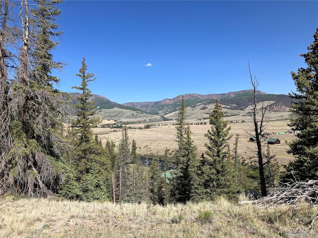 442 Deep Creek Rd, Creede, CO 81130 - photo 45