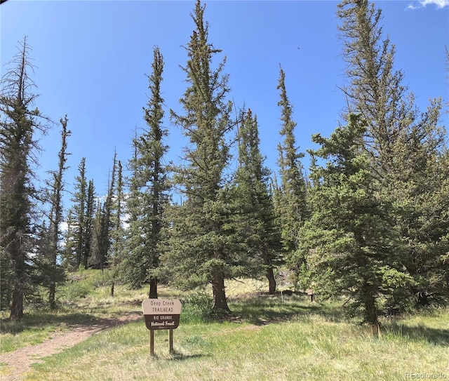 442 Deep Creek Rd, Creede, CO 81130 - photo 47